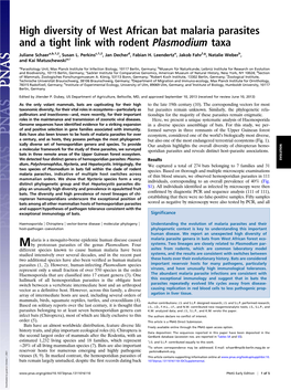 High Diversity of West African Bat Malaria Parasites and a Tight Link with Rodent Plasmodium Taxa