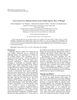 First Record of a Flathead Lobster from Chilika Lagoon, Bay of Bengal