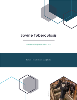 Bovine Tuberculosis | Monograph 15 • • •