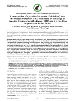 A New Species of Lycodon