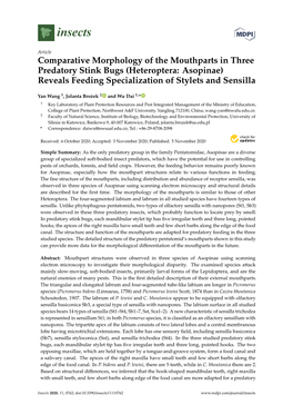 Comparative Morphology of the Mouthparts in Three Predatory Stink Bugs (Heteroptera: Asopinae) Reveals Feeding Specialization of Stylets and Sensilla