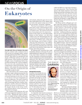 On the Origin of Otes and Eukaryotes