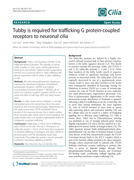 Viewed and Photographed on a Laser Scanning Confocal Type (WT) and Tubby Mouse Retina and Brain Extracts