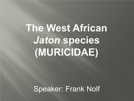 The West African Jaton Species (MURICIDAE)