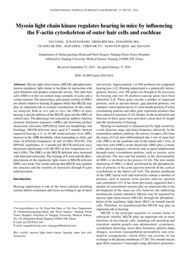 Myosin Light Chain Kinase Regulates Hearing in Mice by Influencing the F-Actin Cytoskeleton of Outer Hair Cells and Cochleae