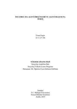 İSTANBUL'da ALEVİ ÖRGÜTLERİ VE ALEVİ OLGUSUNA BAKIŞ Umut