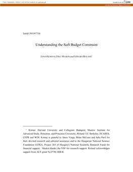 Understanding the Soft Budget Constraint