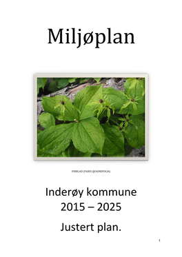 2025 Justert Plan. Øy Kommune