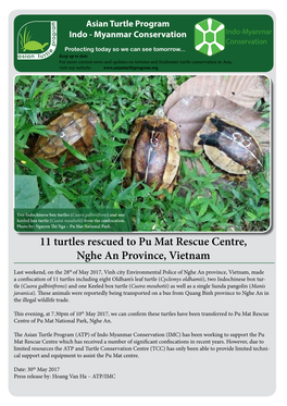 11 Turtles Rescued to Pu Mat Rescue Centre, Nghe an Province, Vietnam