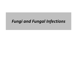 Fungi Infections