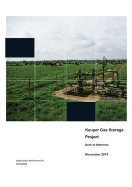 Keuper Gas Storage Project