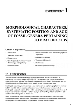 Morphological Characters, Systematic Position and Age of Fossil Genera Pertaining to Brachiopods