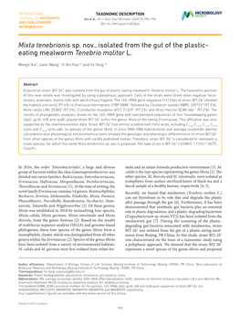 Mixta Tenebrionis Sp. Nov., Isolated from the Gut of the Plastic-­ Eating Mealworm Tenebrio Molitor L