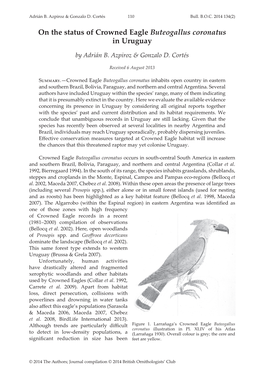 On the Status of Crowned Eagle Buteogallus Coronatus in Uruguay