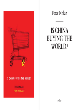 Peter Nolan IS CHINA BUYING the WORLD?