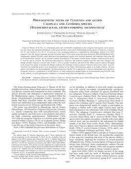 Phylogenetic Study of Fulgensia and Allied Caloplaca and Xanthoria Species (Teloschistaceae, Lichen-Forming Ascomycota)1