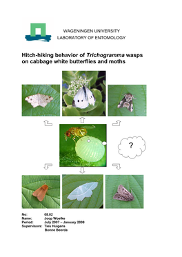 Hitch-Hiking Behavior of Trichogramma Wasps on Cabbage White Butterflies and Moths