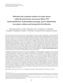 Molecular and Cytogenetic Analyses of Cryptic Species Within the Synbranchus Marmoratus Bloch, 1795 (Synbranchiformes: Synbranchidae) Grouping: Species Delimitations, Karyotypic