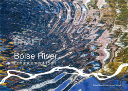 Boise River Enhancement Plan