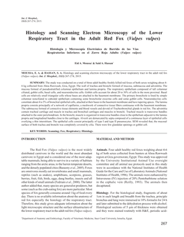 Histology and Scanning Electron Microscopy of the Lower Respiratory Tract in the Adult Red Fox (Vulpes Vulpes)