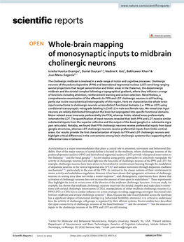 Whole-Brain Mapping of Monosynaptic Inputs to Midbrain