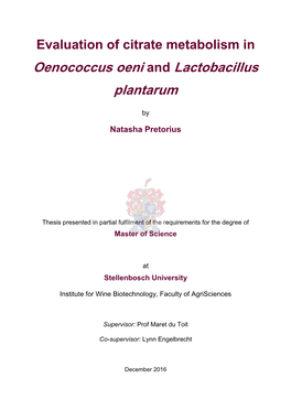 Evaluation of Citrate Metabolism in Oenococcus Oeni and Lactobacillus Plantarum