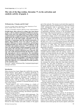 The Role of the Flap Residue, Threonine 77, in the Activation and Catalytic