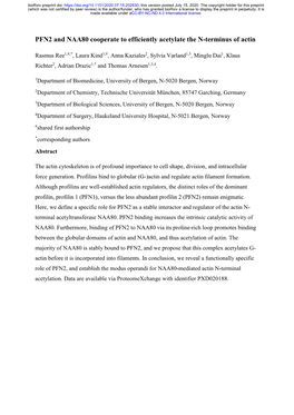 PFN2 and NAA80 Cooperate to Efficiently Acetylate the N-Terminus of Actin