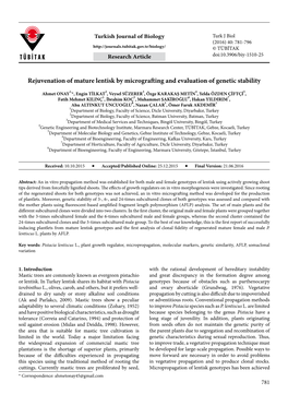 Rejuvenation of Mature Lentisk by Micrografting and Evaluation of Genetic Stability