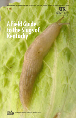A Field Guide to the Slugs of Kentucky