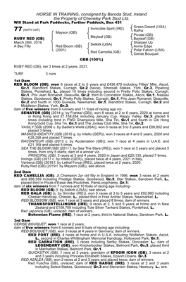 HORSE in TRAINING, Consigned by Baroda Stud, Ireland the Property of Cheveley Park Stud Ltd