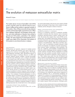 The Evolution of Metazoan Extracellular Matrix