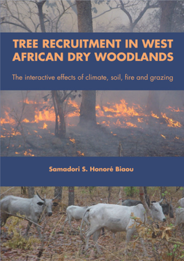 Water Stress, Woodland, Savanna, Species Richness, Tree Density, Facilitation, Tree Clustering, Soil Fertility, Soil Salinity, Regeneration, West-Africa, Benin