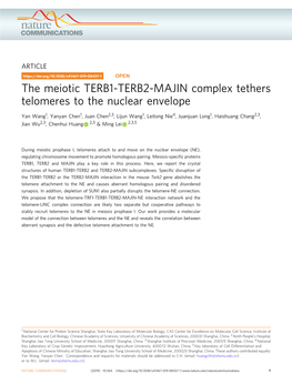 The Meiotic TERB1-TERB2-MAJIN Complex Tethers Telomeres to the Nuclear Envelope