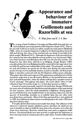 Appearance and Behaviour of Immature Guillemots and Razorbills at Sea P