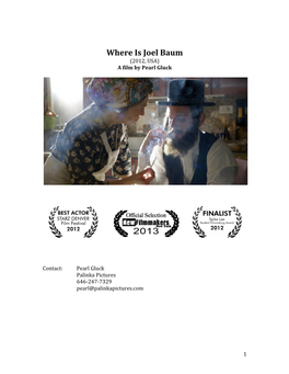 Where Is Joel Baum (2012, USA) a Film by Pearl Gluck