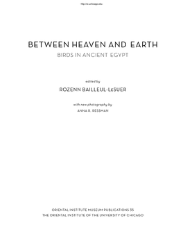 Birds in the Ancient Egyptian and Coptic Alphabets