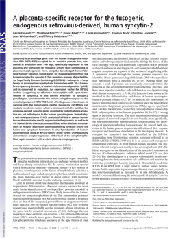 A Placenta-Specific Receptor for the Fusogenic, Endogenous Retrovirus-Derived, Human Syncytin-2