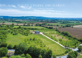 White Chapel Orchards