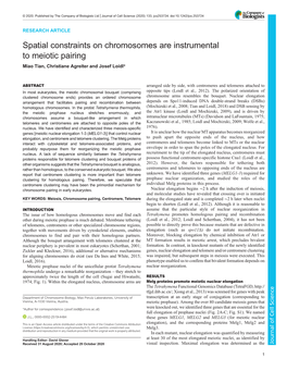 Spatial Constraints on Chromosomes Are Instrumental to Meiotic Pairing Miao Tian, Christiane Agreiter and Josef Loidl*