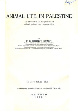 Animal Life in Palestine