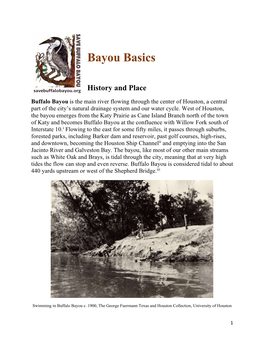 Bayou Basics