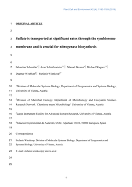 Sulfate Is Transported at Significant Rates Through the Symbiosome