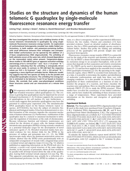 Studies on the Structure and Dynamics of the Human Telomeric G Quadruplex by Single-Molecule Fluorescence Resonance Energy Transfer