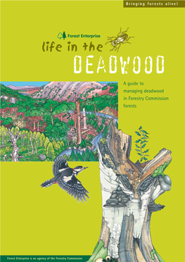 Deadwood in Forestry Commission Forests