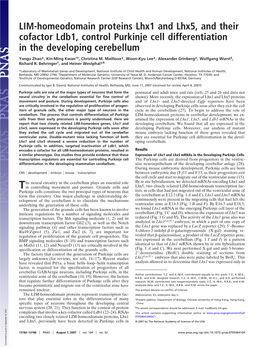 LIM-Homeodomain Proteins Lhx1 and Lhx5, and Their Cofactor Ldb1, Control Purkinje Cell Differentiation in the Developing Cerebellum