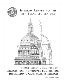 Interim Report to the St Texas Legislature