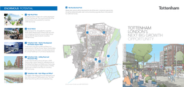 Tottenham London's Next Big Growth Opportunity