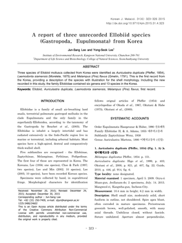 A Report of Three Unrecorded Ellobiid Species (Gastropoda, Eupulmonata) from Korea