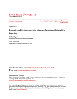 Dynamic and System Agnostic Malware Detection Via Machine Learning